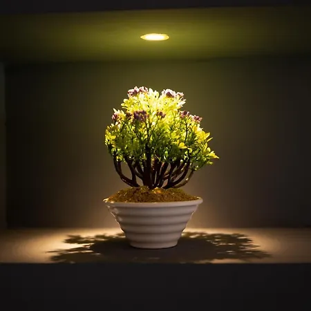 Ma.gi.a ベッド・アンド・ブレックファスト クーネオ